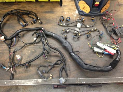 Wiring Harness/Engine 